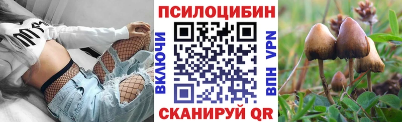 OMG как зайти  закладки  Щёлкино  Псилоцибиновые грибы мицелий 